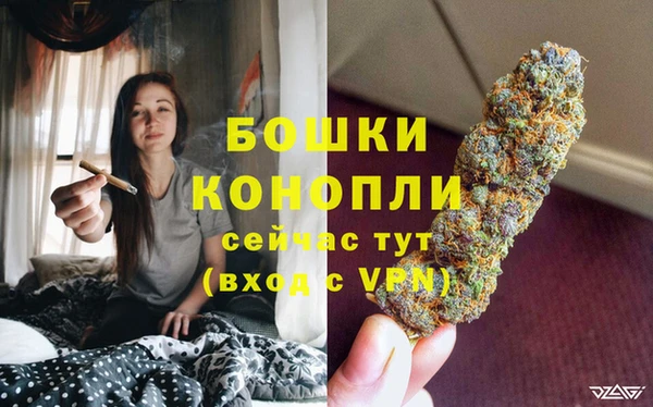 2c-b Лагань