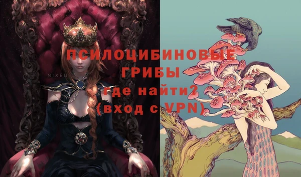 2c-b Лагань