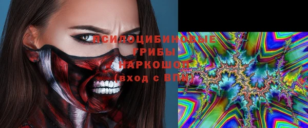 крисы Лабытнанги