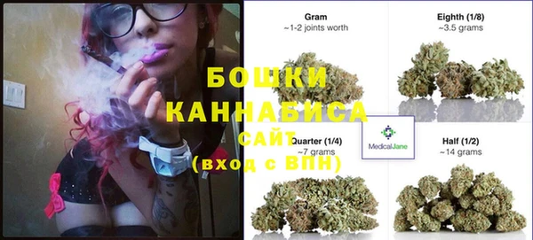 ПСИЛОЦИБИНОВЫЕ ГРИБЫ Кулебаки