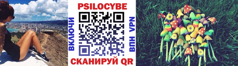 наркотики  Ленск  MEGA маркетплейс  Псилоцибиновые грибы Psilocybe 